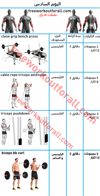 جدول تمارين كمال اجسام 5 ايام في الاسبوع