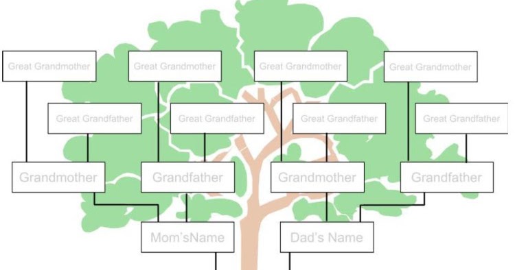 ancestry family tree maker 2014 download free ancestry family tree maker 2014 download free