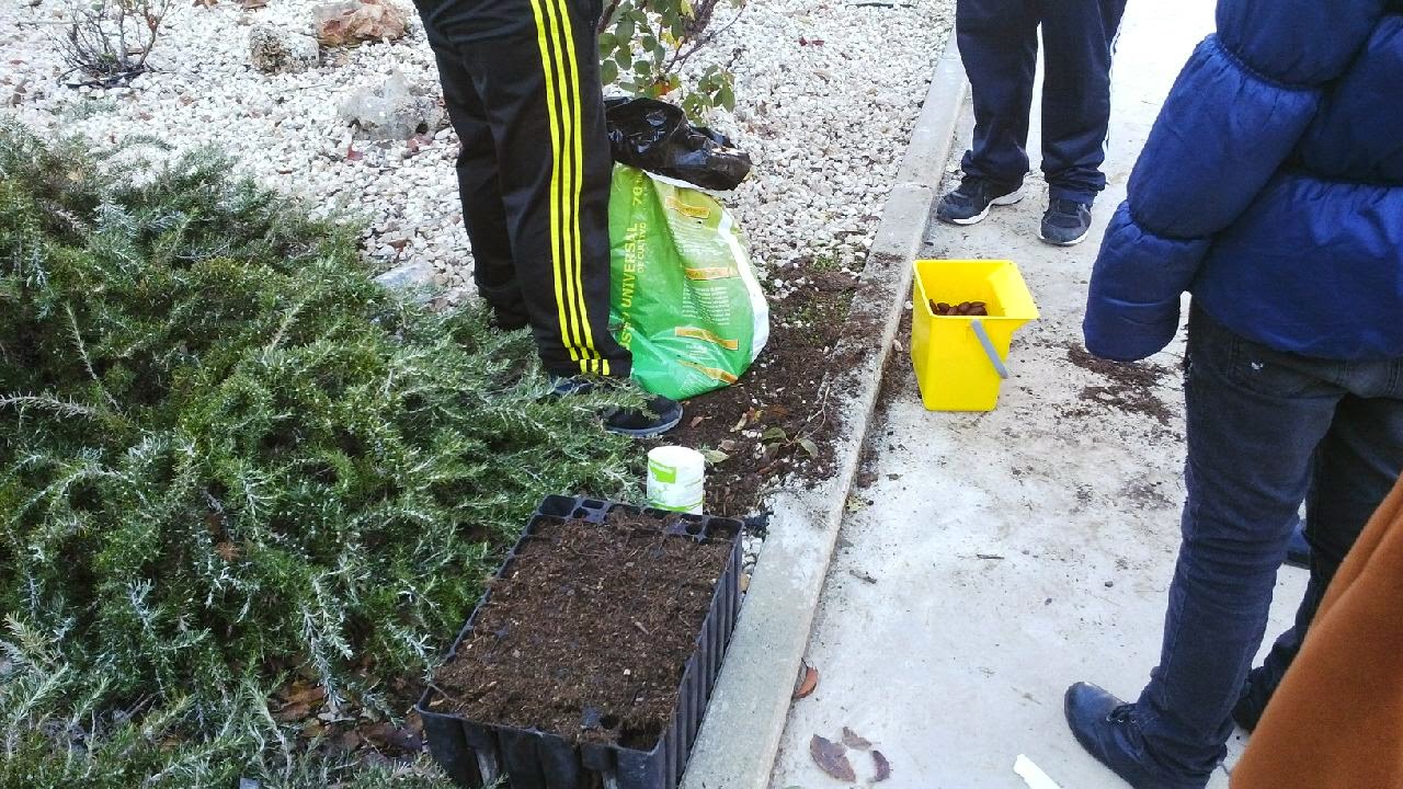 El blog de Andrés Navarro: CRECE CON TU ÁRBOL