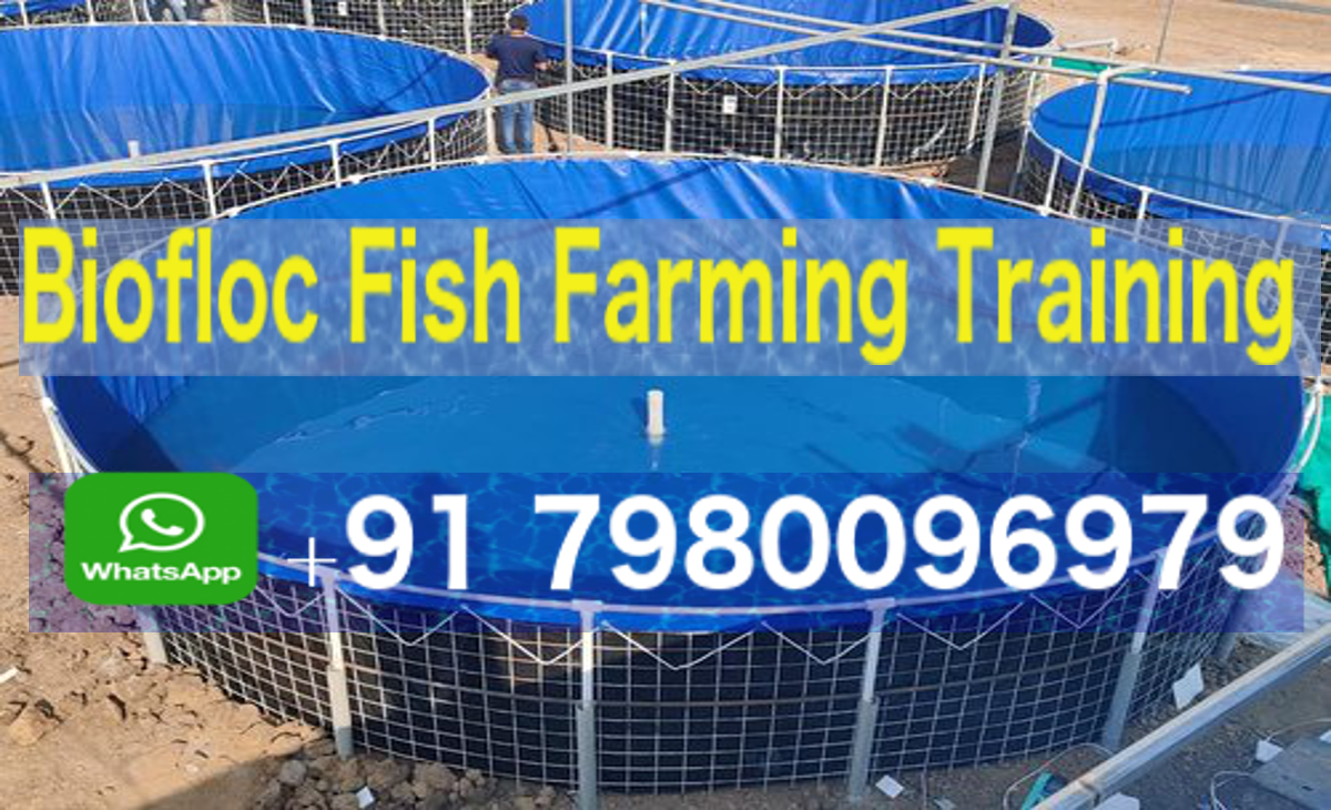 Biofloc Fish Farming Training.pdf Better Farming Solution For You