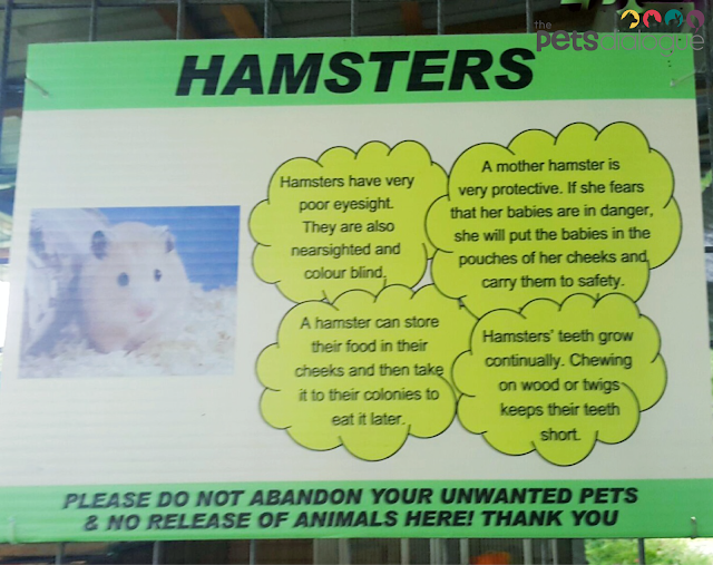 Basic Education of Hamsters