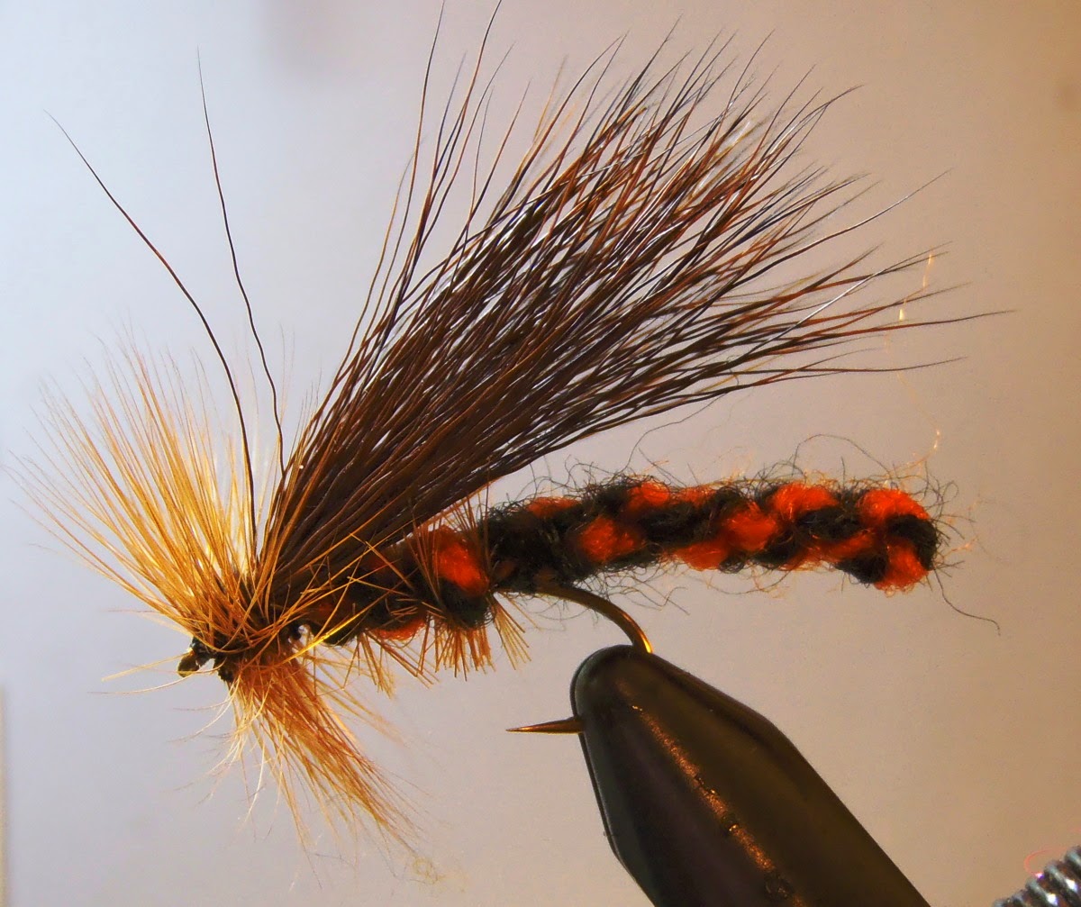 Mountains, Rivers, & Trout: Salmonfly Hatch on The Madison