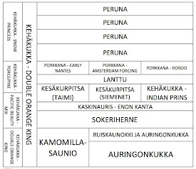 Palstamaan kartta 2018