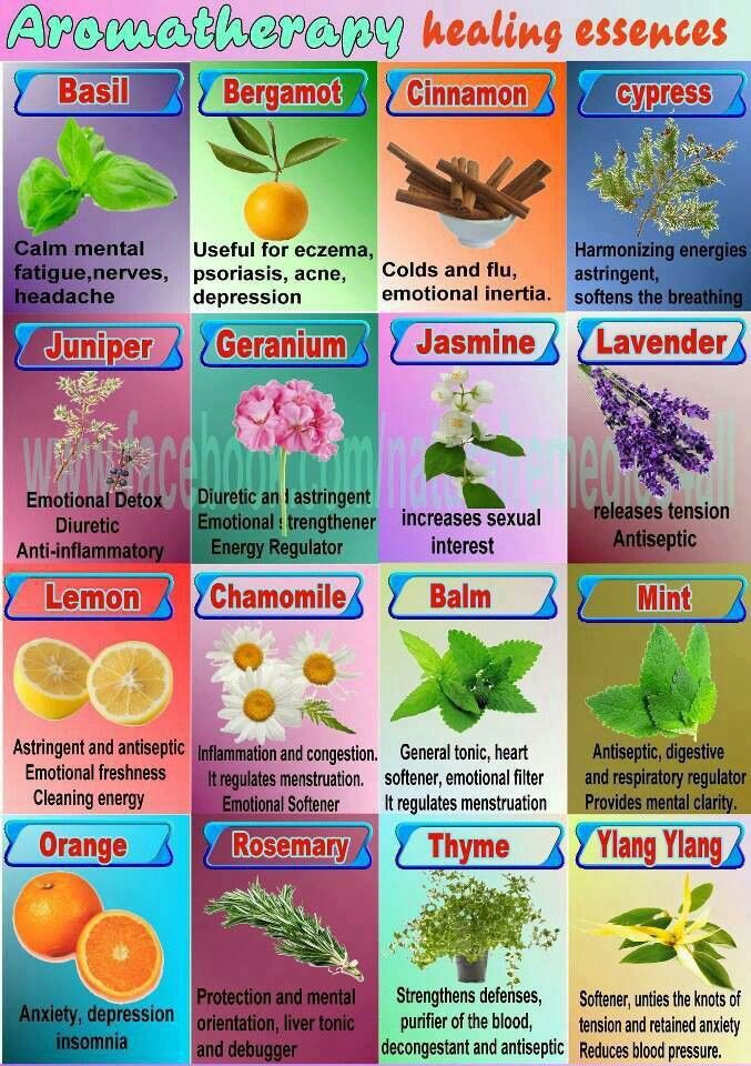 Variety Is The Spice Of Being Sage Benefits & Aromatherapy