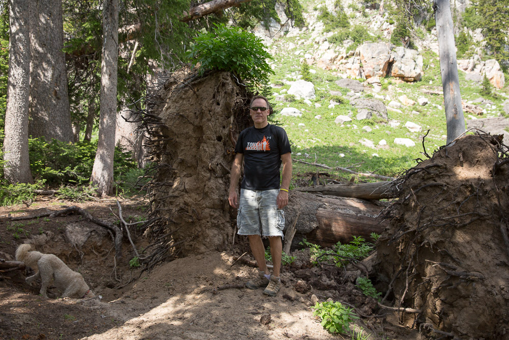 The Garlick Press Steam Mill Hollow