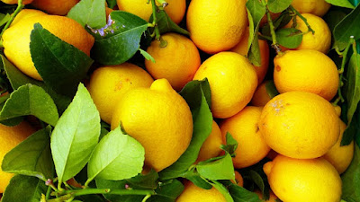 manfaat buah lemon untuk kesehatan tubuh secara alami manfaat lemon mengandung banyak vita 5.manfaat buah lemon untuk kesehatan tubuh secara alami