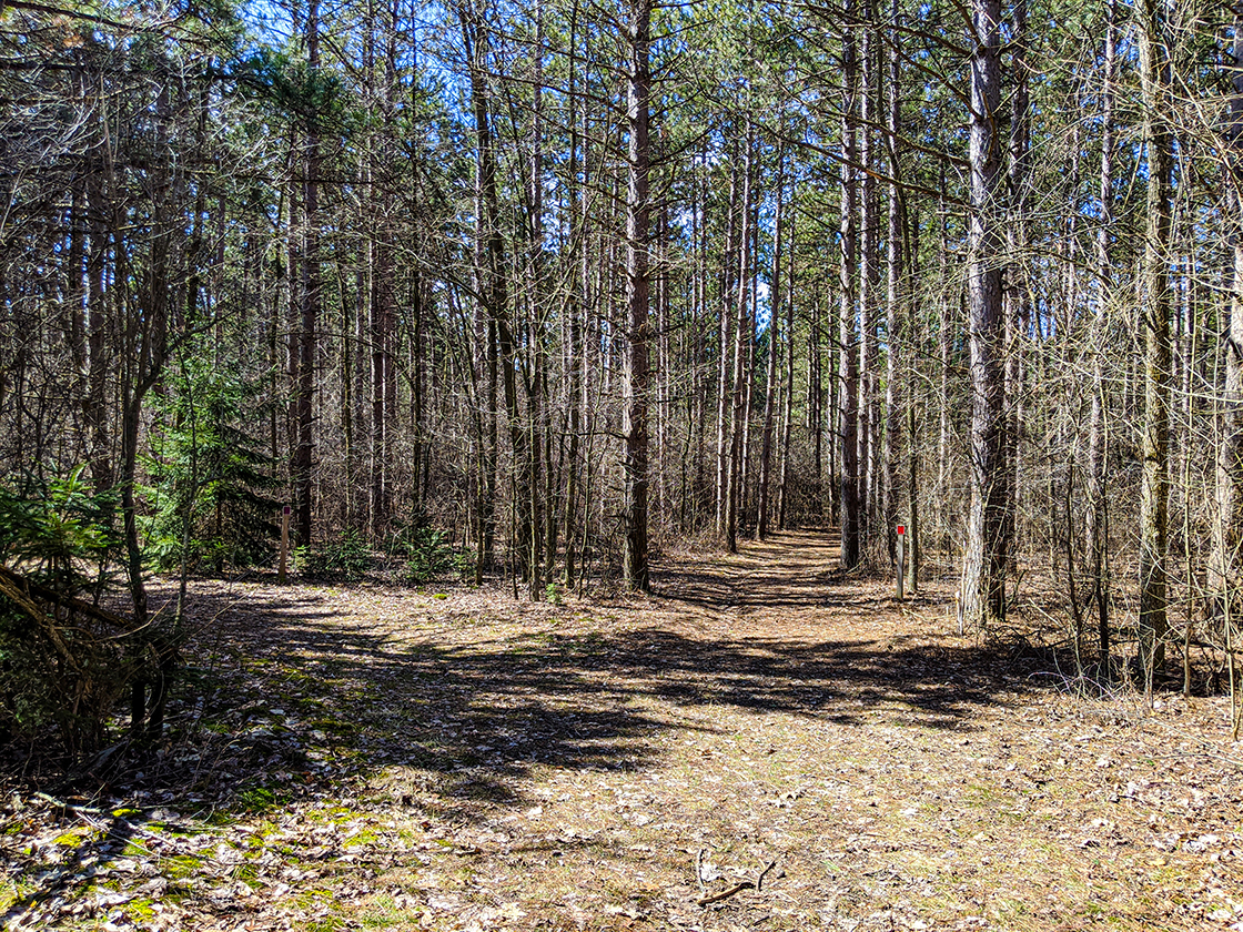 Hiking the New Fane Trails in the Northern Kettle Moraine