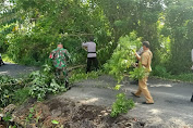 Polsek Selemadeg Tabanan Bali,Gelar Simulasi Penanganan Pohon Tumbang