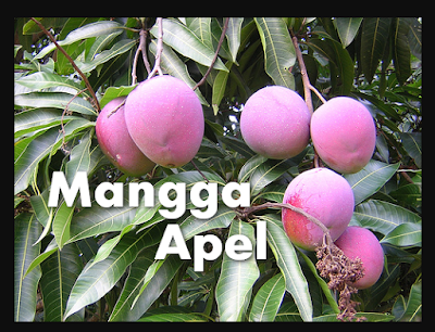 Mangga Apel