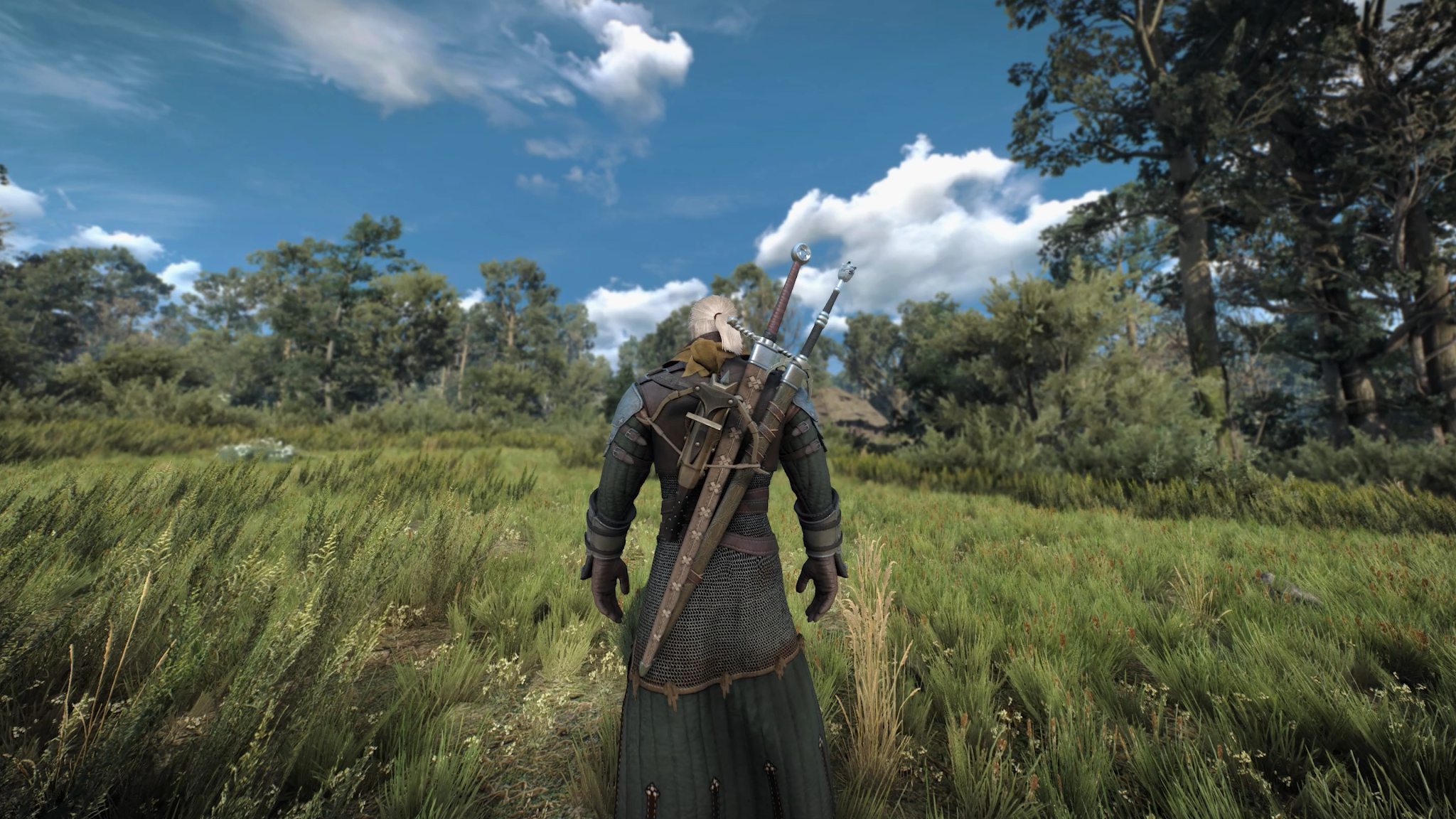 The Witcher Texture Mod 1080p HD 