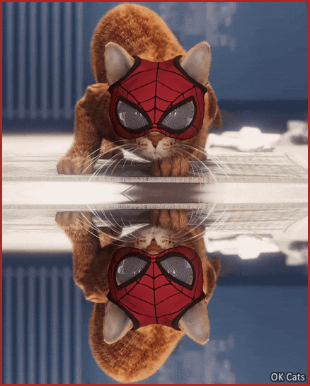 Art Cat GIF • CAT INTENSiFiES... Spidercat ready to pounce... Soon. Funny Butt wiggles  [cat-gifs.com]