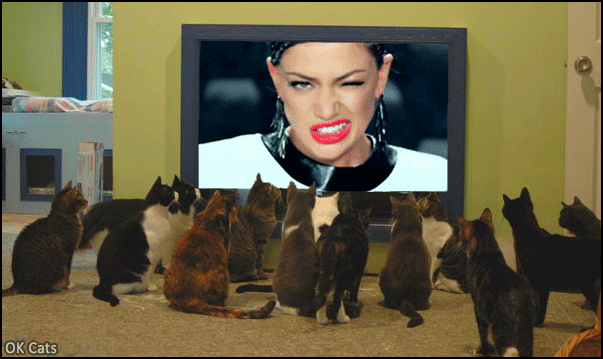 Art Cat GIF with caption • 13 cats totally mesmerized by a crazy woman roaring like a ferocious lion [cat-gifs.com]