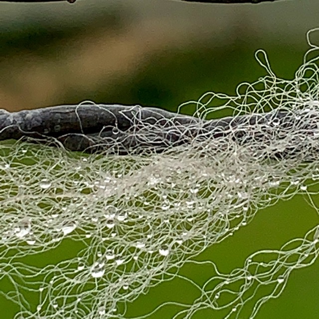 Rustnstuff Changing moods of the north skysea, droplets and other matters