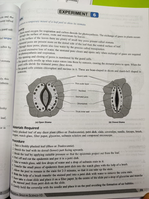 Columbus public schools columbus mt picture