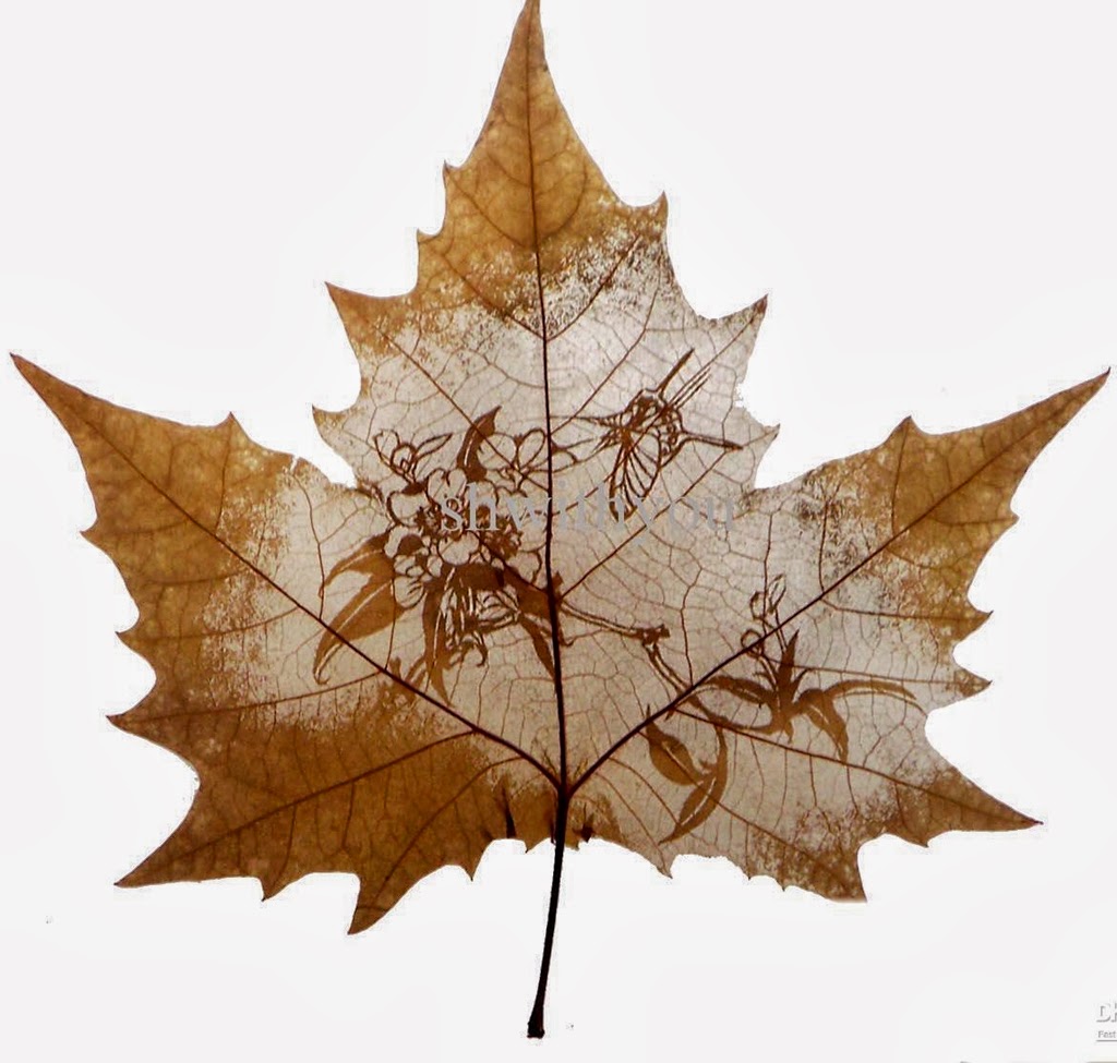 Leaf Carving Art | Tutt'Art@ | Pittura • Scultura • Poesia • Musica Leaf Carving Art | Tutt'Art@ | Pittura • Scultura • Poesia • Musica