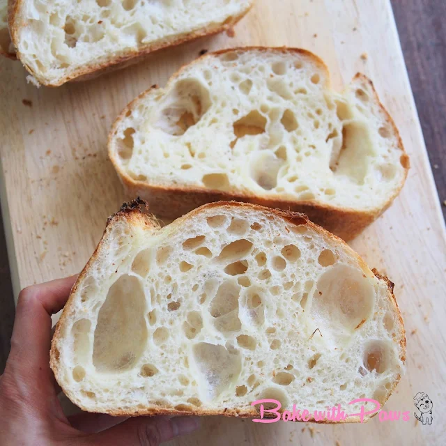 Semola Sourdough Open Crumb Sourdough Bread