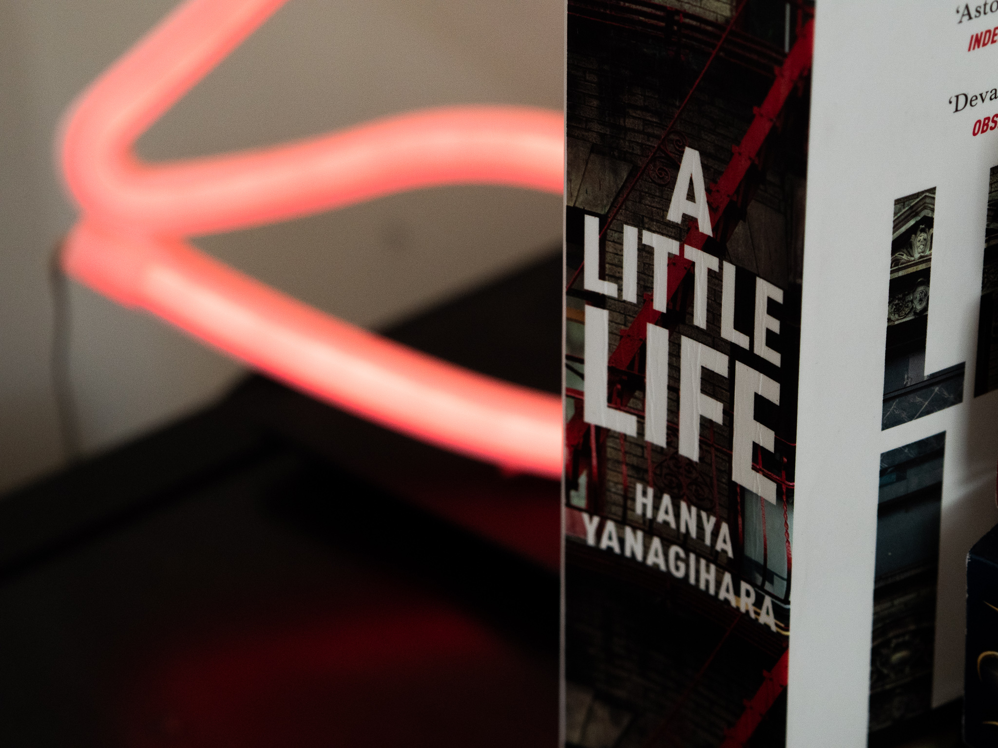 Books: A Little Life by Hanya Yanagihara — A Little Peculiar