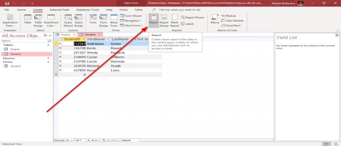 creare un report utilizzando Microsoft Access