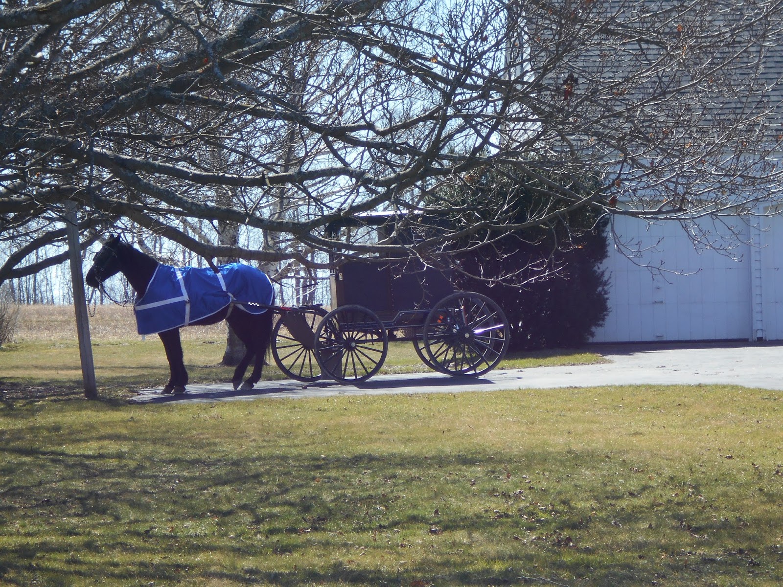 New York State of Mind AMISH FARM