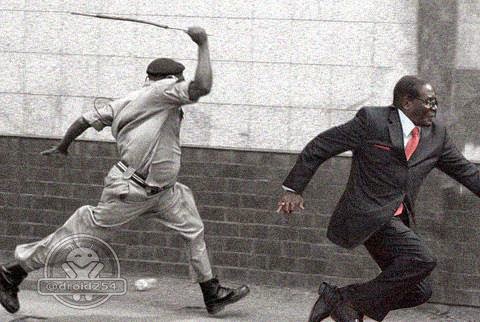mugabe fall memes