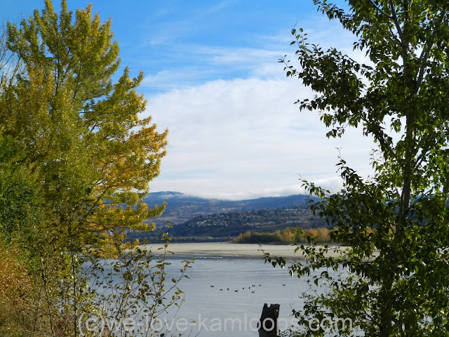 Sandy beaches of Rabbit Island is seen across the Thompson River