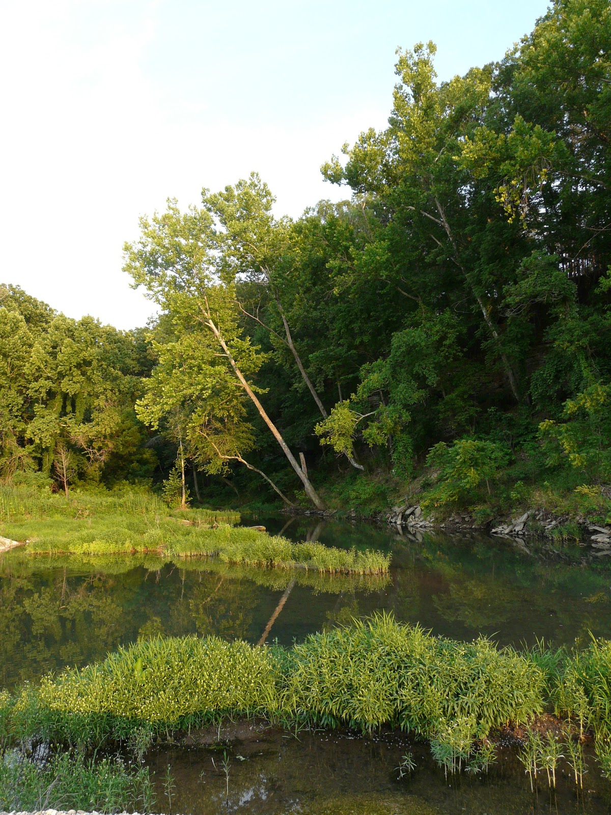 Archiving throughout Arizona, New Mexico, Oklahoma, and Texas Ozark