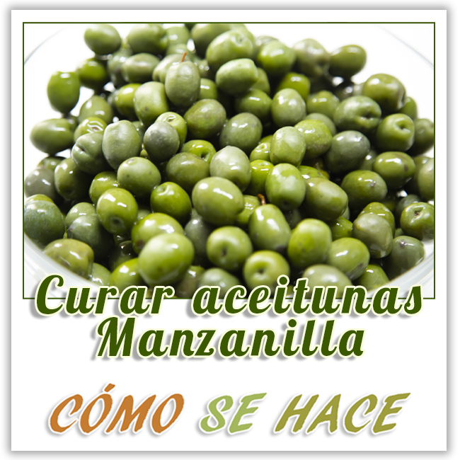 Cómo curar aceitunas manzanilla