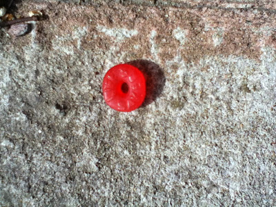An unwrapped red lifesaver candy lies on a sidewalk somewhere in New York City.