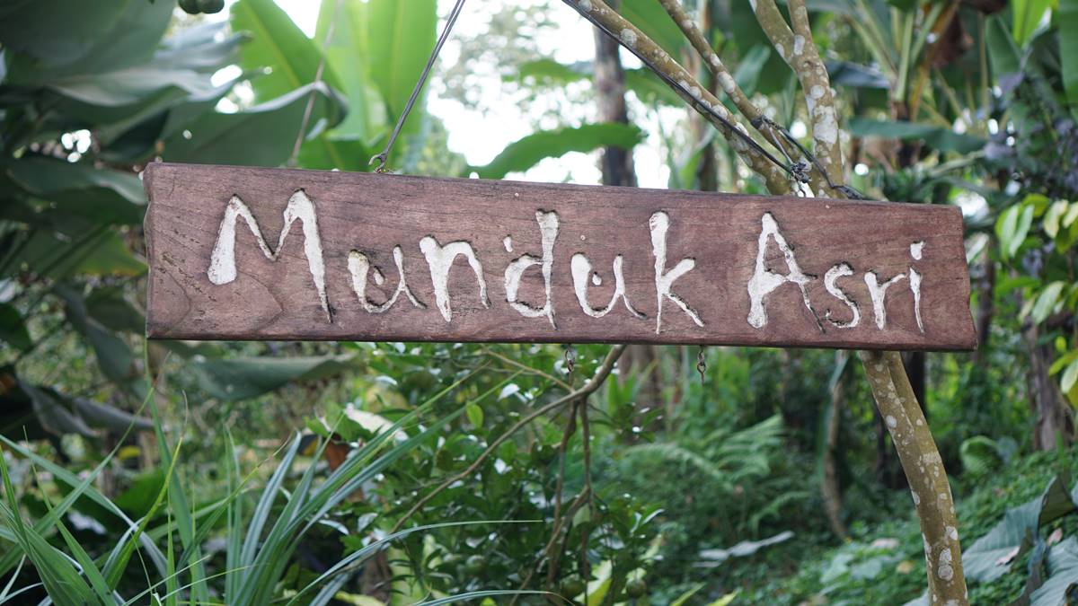 MUNDUK ASRI PAYANGAN GIANYAR BALI - TEMPAT INSTAGRAMABLE ...