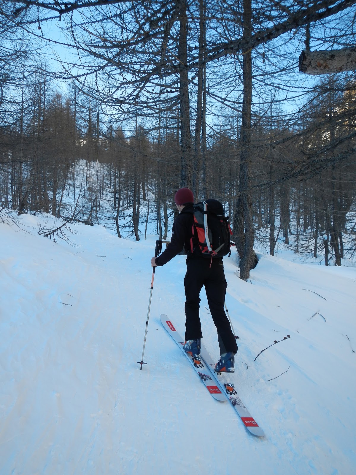 WILD SARO Pizzo Cornera Canalone di Cornera