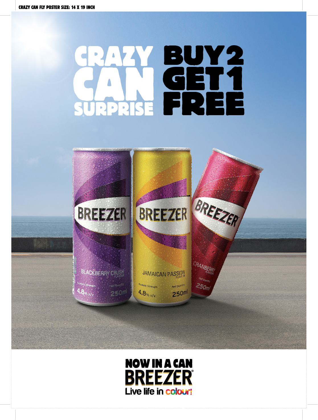 ari's world: BREEZER LAUNCHES CANS