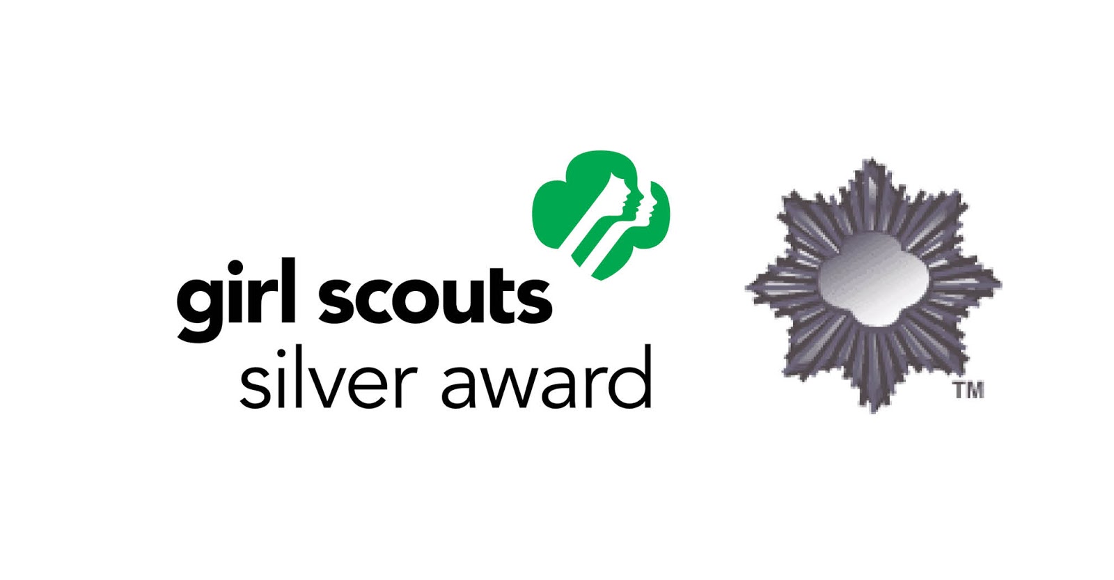 girl scouts of southern illinois january 2017 girl scouts of southern illinois january 2017
