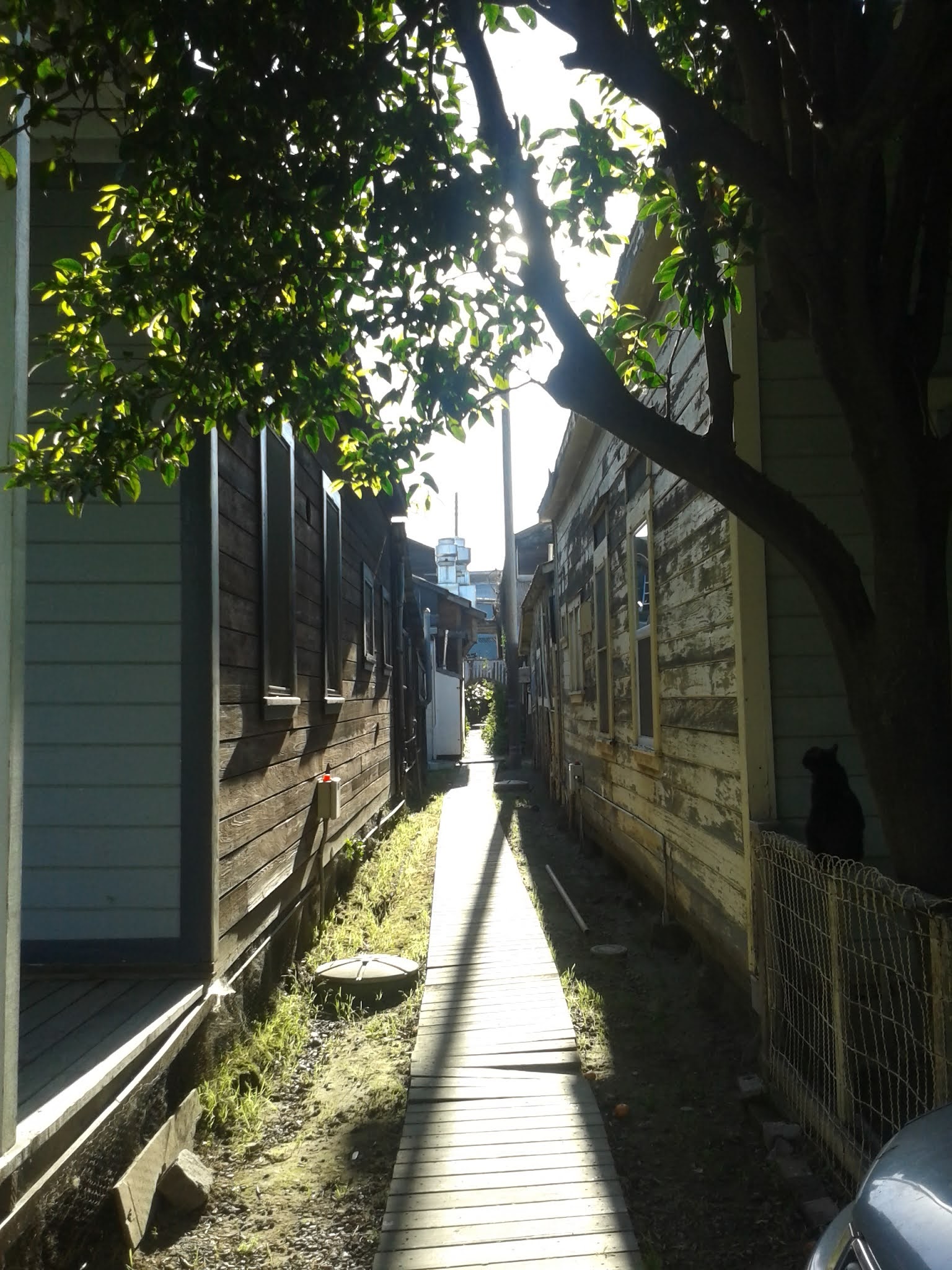 HISTORY OF LOCKEPORT The True Stories of Locke, California