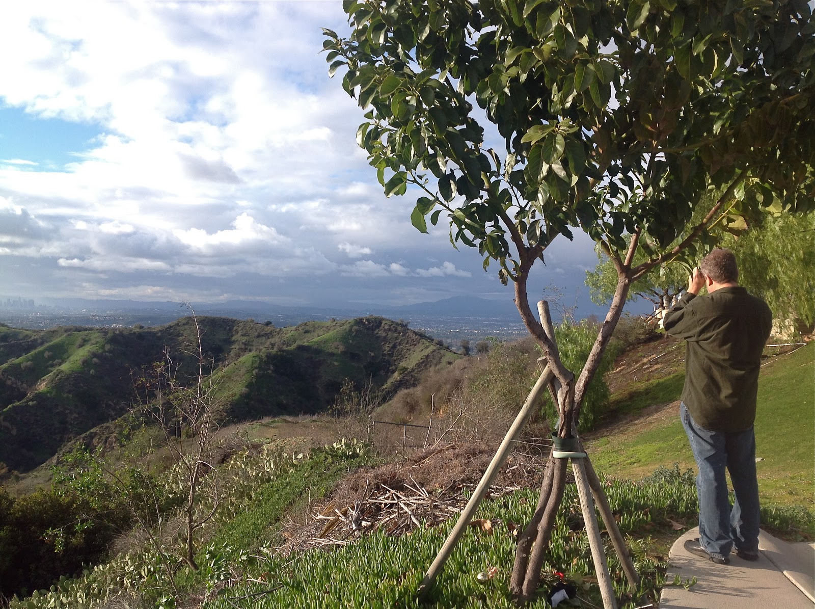 A Pasadena Latina The View from Rose Hills