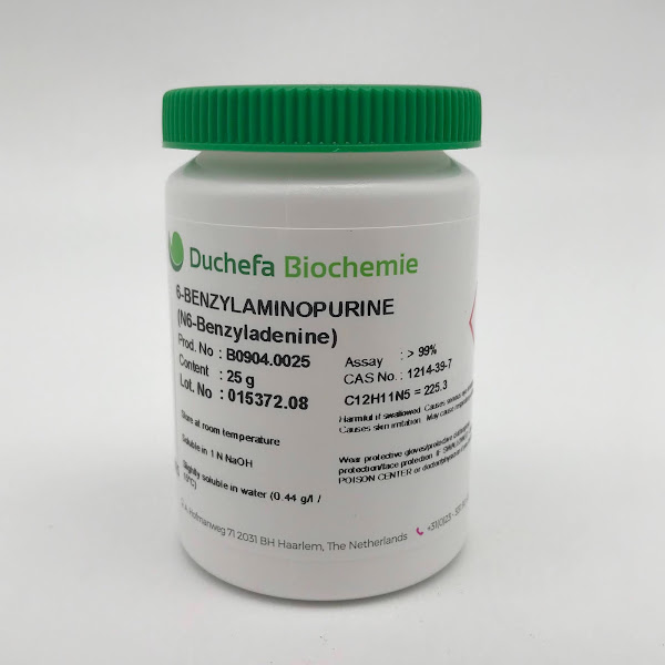 Hormone BAP - hormone thuộc nhóm cytokinin