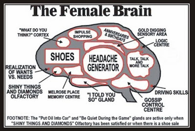 A-Women's-Brain