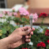 How to Convert Depth Effect Photo to Normal Photo in iOS 11