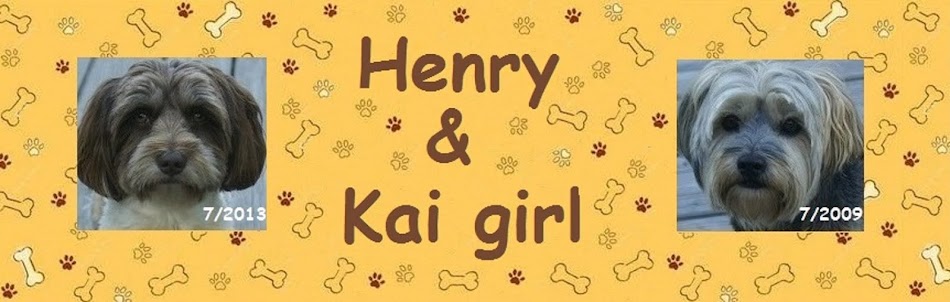 Henry   and   Kai girl