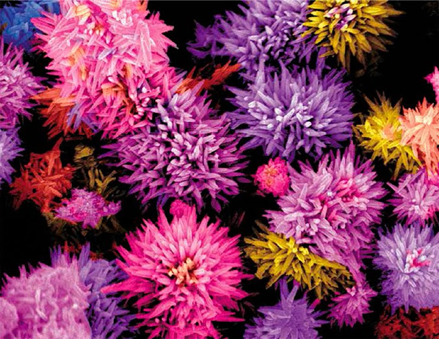 Рис. 2. Наноцветы из легированного цинком оксида олова, выращенные гидротермальным методом (фото Mulmudi Hemant Kumar, Nanyang Technological University).