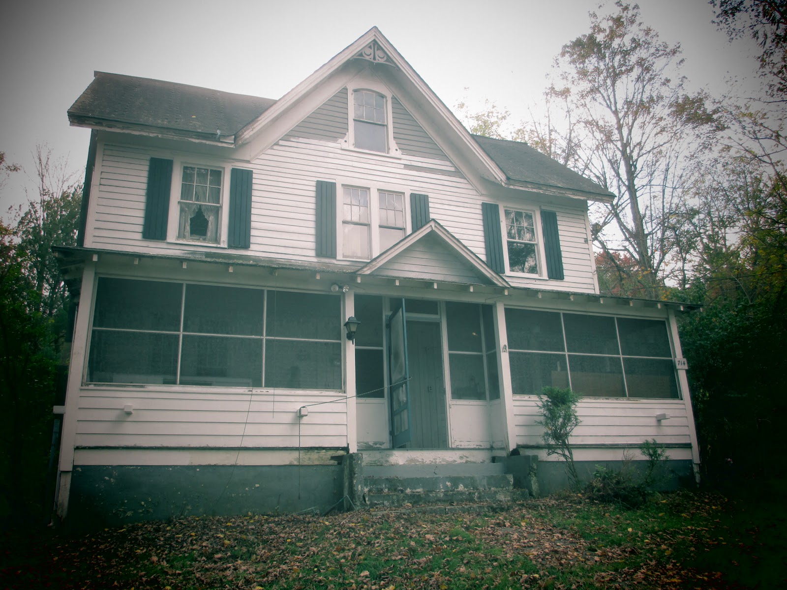 Rebuilding my old house in Lackawaxen Penn.