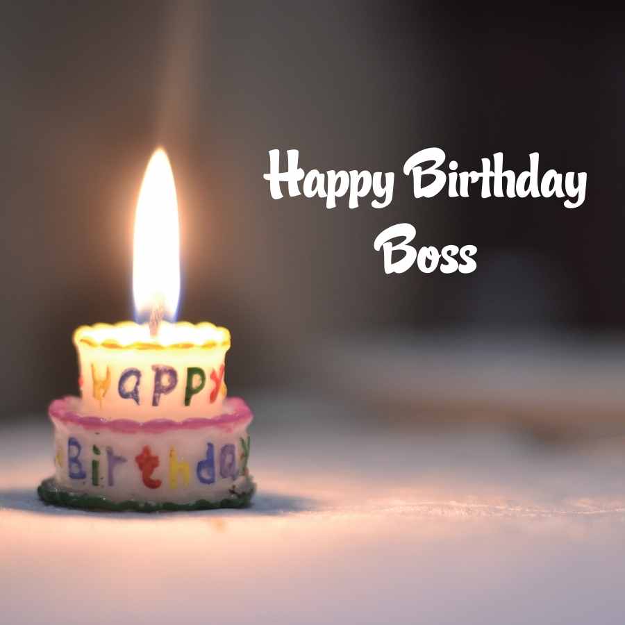 55 Happy Birthday Boss images ideas