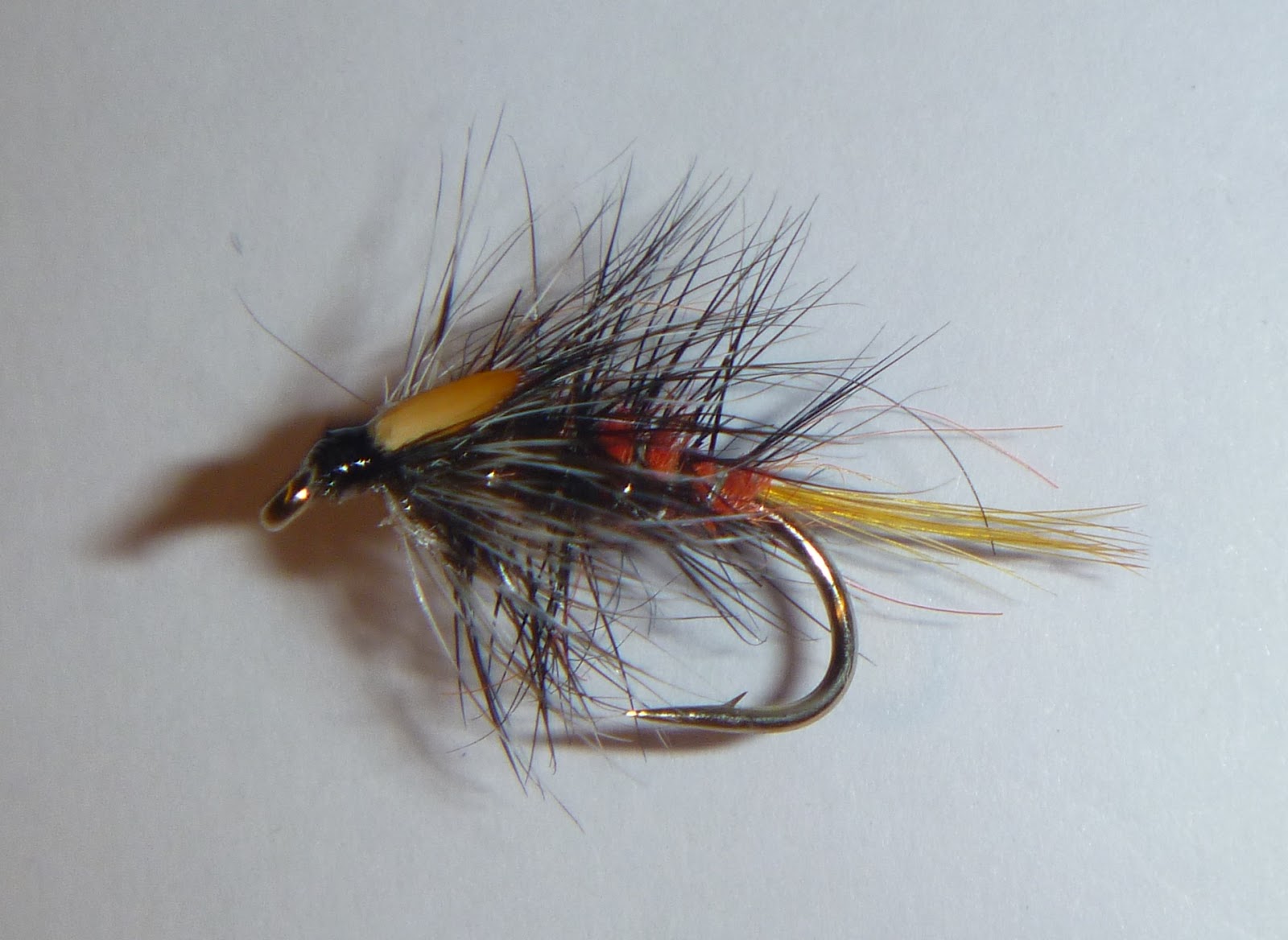 Burrator Fly Fishers: Good sport thanks to the Hawthorn Fly
