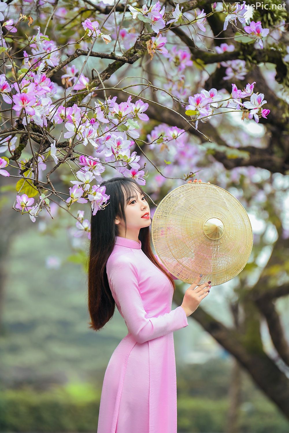 Dreamy purple of Ao Dai - Gentle and Soft of beautiful girls - Vietnamese traditional dress