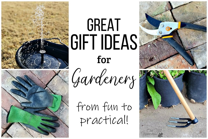 Thoughtful Gifts for Gardeners, from Fun to Practical updated for