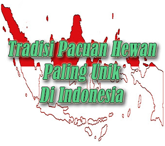 Tradisi Pacuan Hewan Paling Unik Di Indonesia