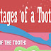 Life Stages of a Tooth #infographic