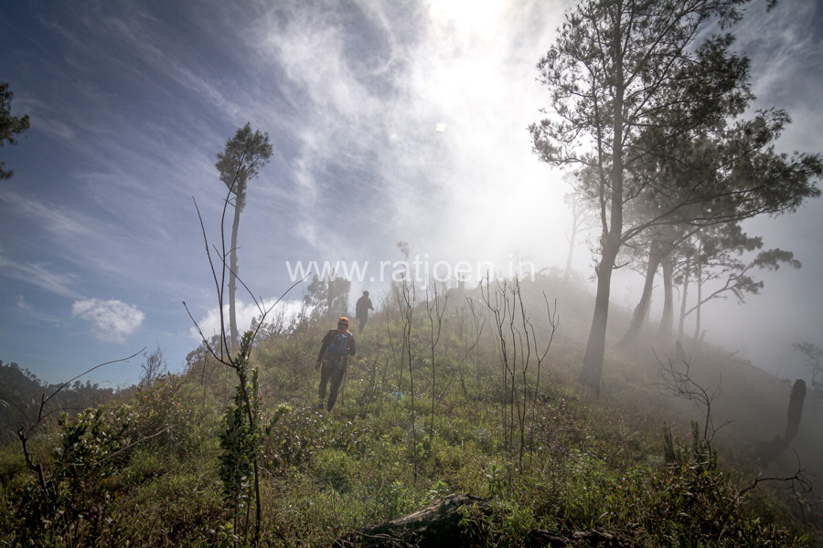 Puncak Liman /Trogati (2563 mdpl) Gunung Wilis yang Mistis