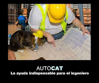 autocat humor desmotivacion