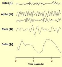 How important are alpha waves?