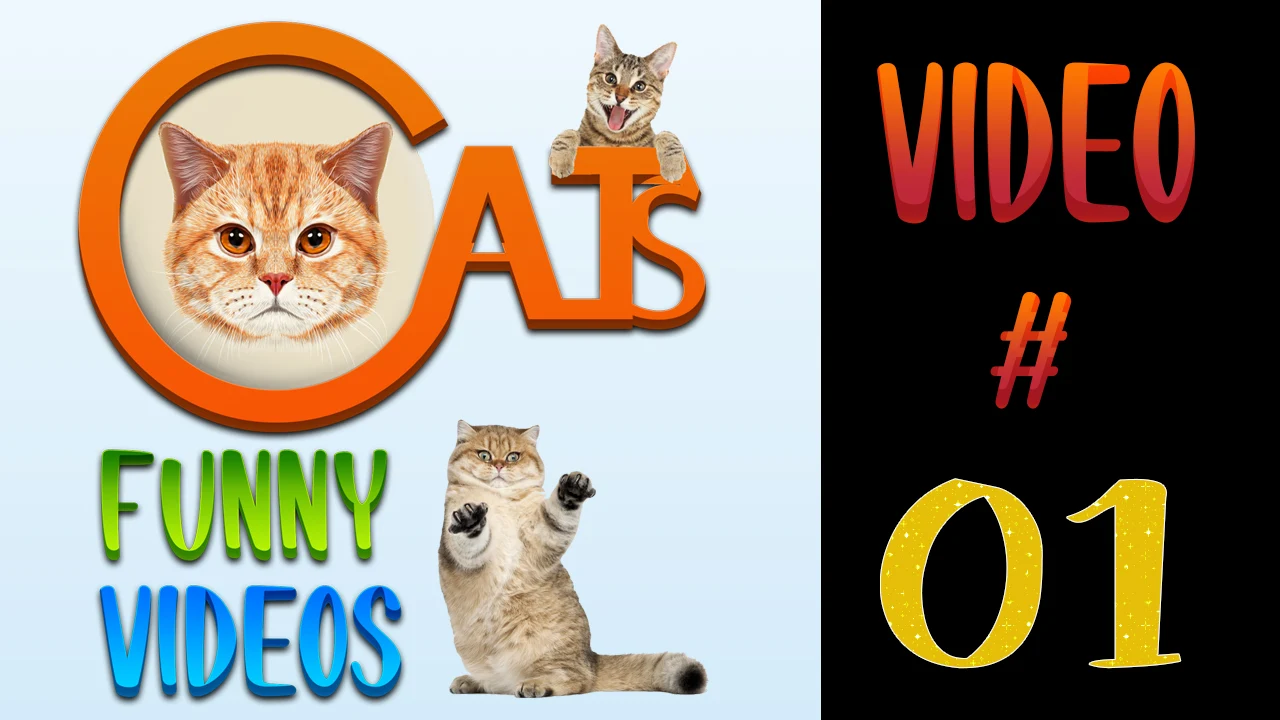 Cats Funny Videos Compilation 01 | Cute Cats | #cats #catsfunnyvideos Cats Funny Videos Compilation 01 | Cute Cats | #cats #catsfunnyvideos